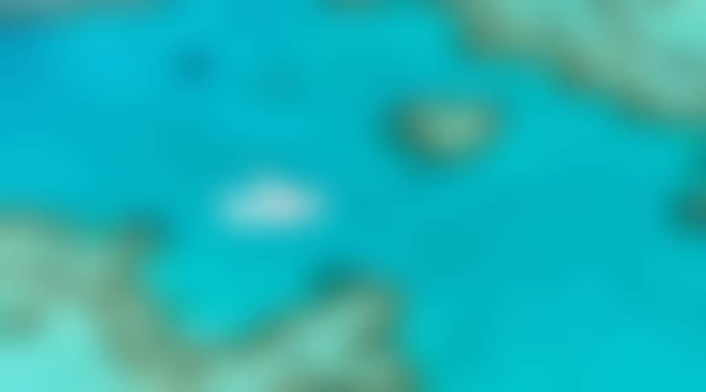 C1A9Ec8Ed89937087173Ca2C1Ef4A963