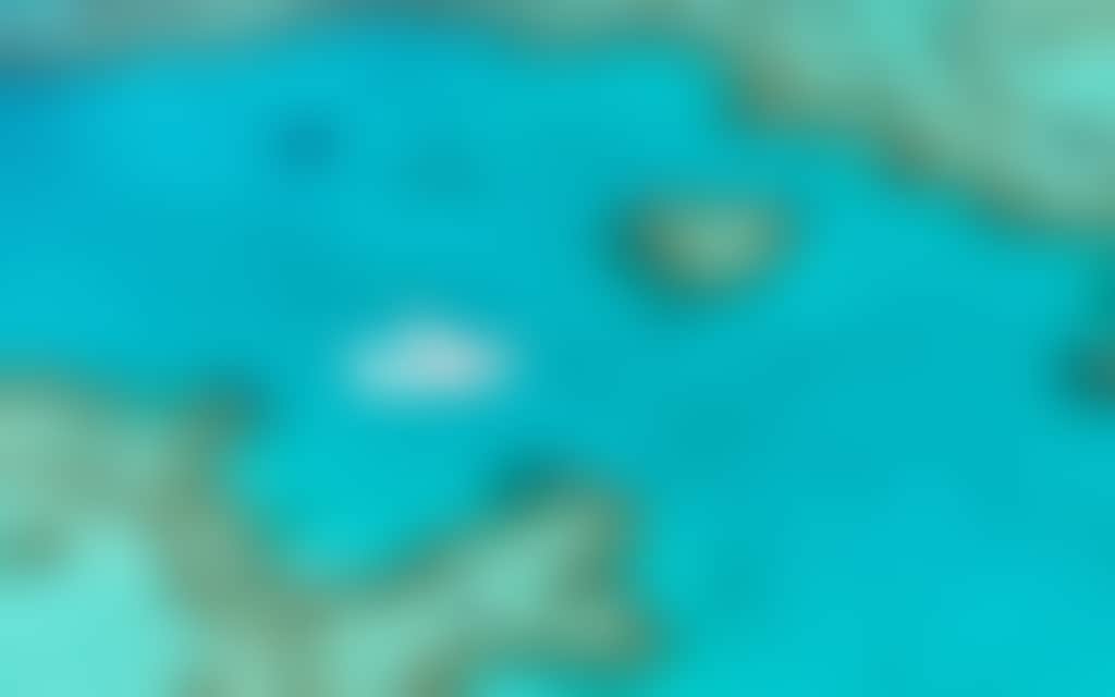 C1A9Ec8Ed89937087173Ca2C1Ef4A963