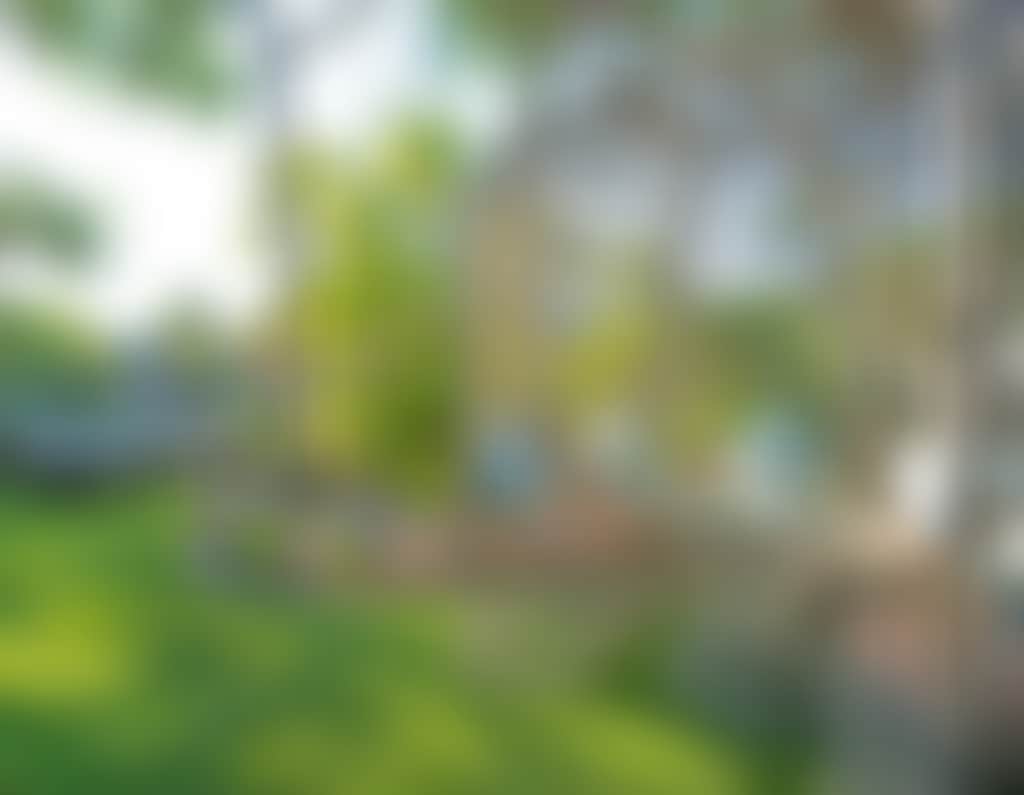 9E88F24815C9D02Ed09F2382B0B20361