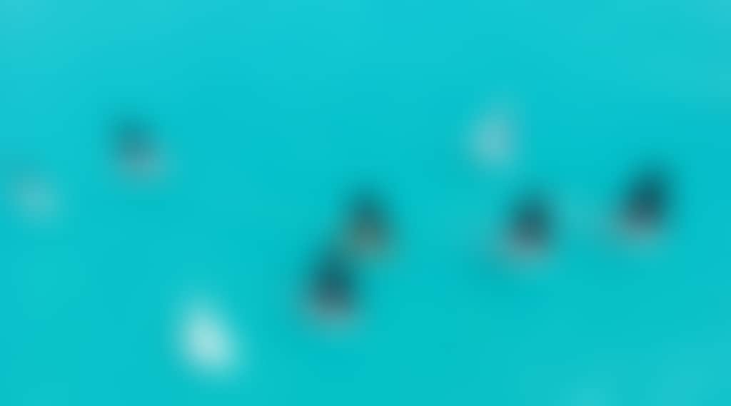Rkd80Plp5Sw802Yybwgnabu3Ddf2F9052-4C00-446E-Bbc6-30Ff0F567Cad