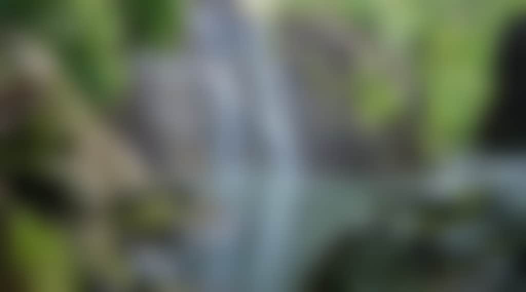 36F35E533091Cca74Bc1609Beb700139