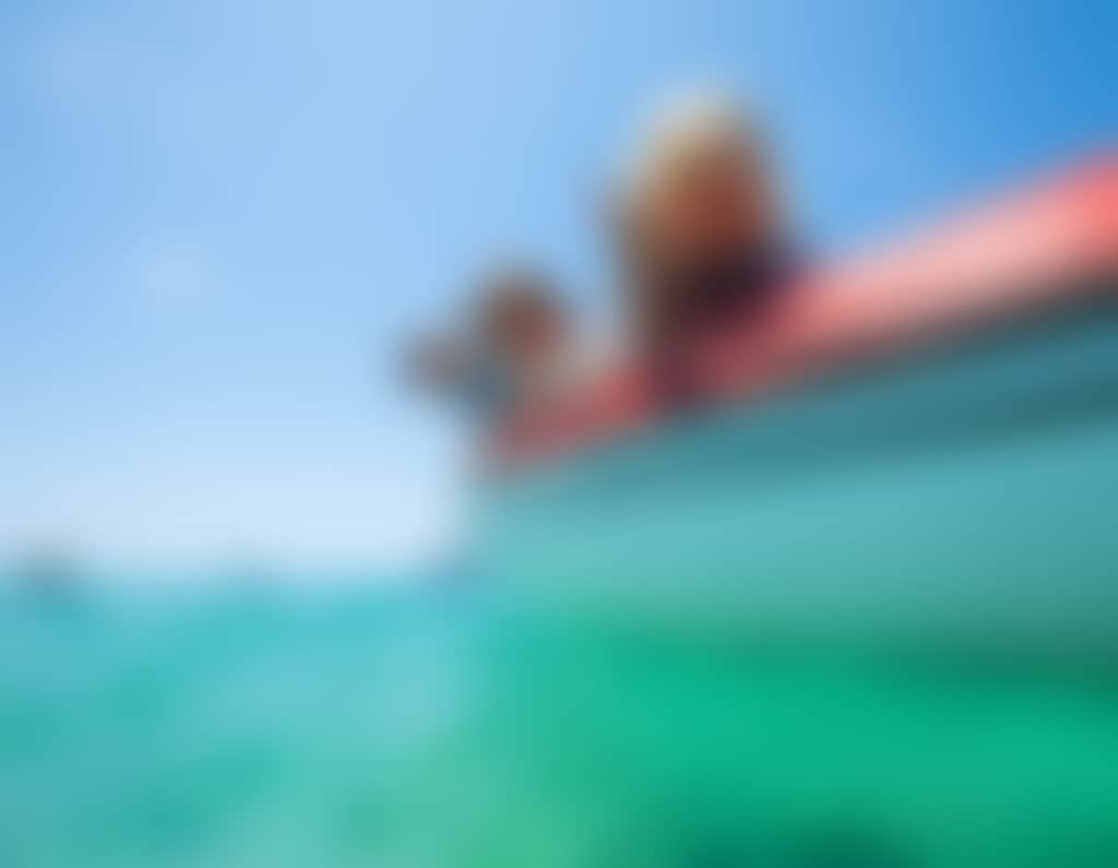 NECI Red Cat Adventures 16