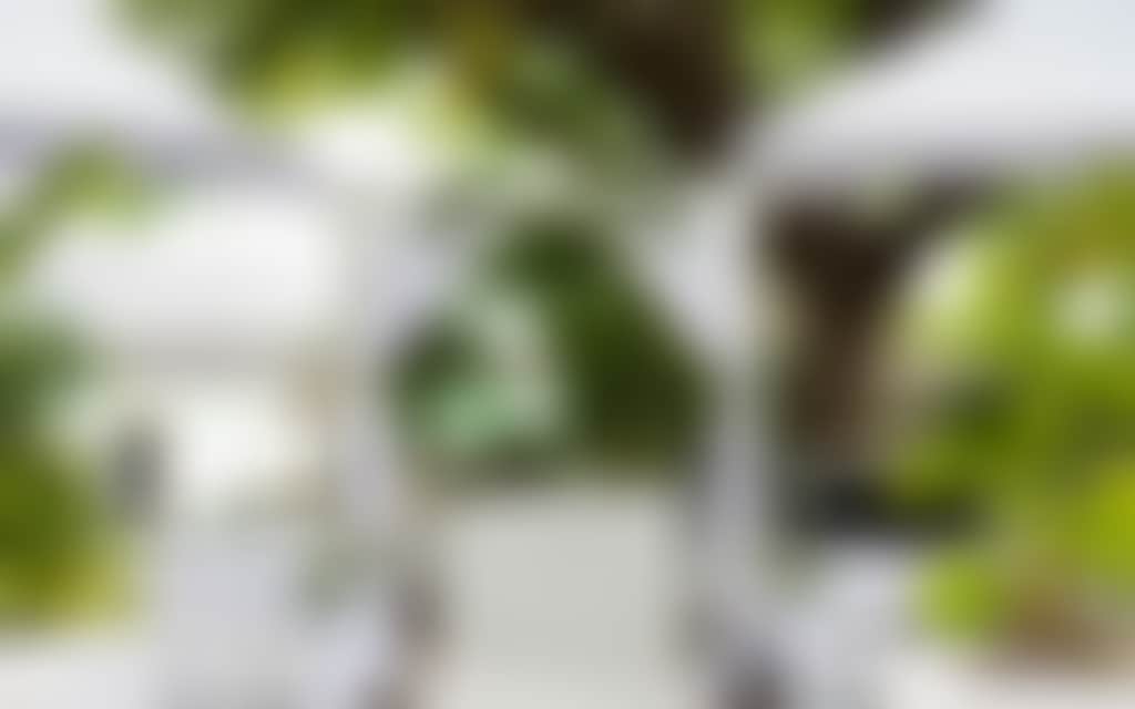 A39Ae2Fcf07838Ee8Bb36196175Dbcd6