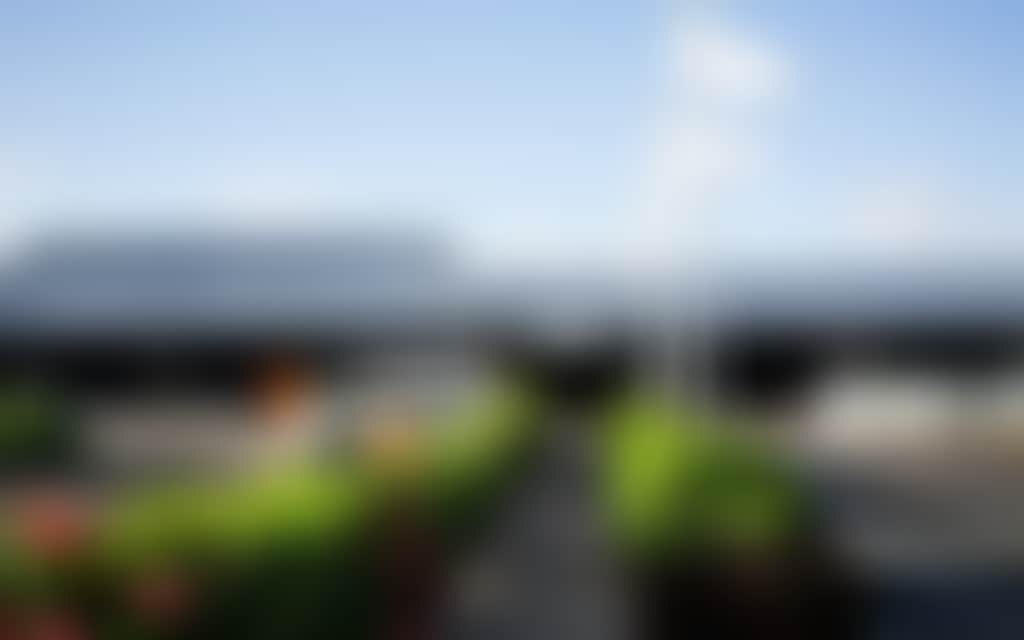 936Fa41Be0F2D39A49146D93036A9C5C