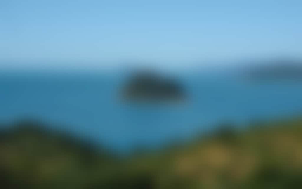 93C02E15669Cac9172C5F7F139B0Afef
