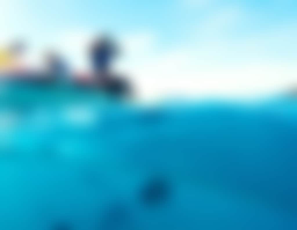 Snorkelling Portland Roads