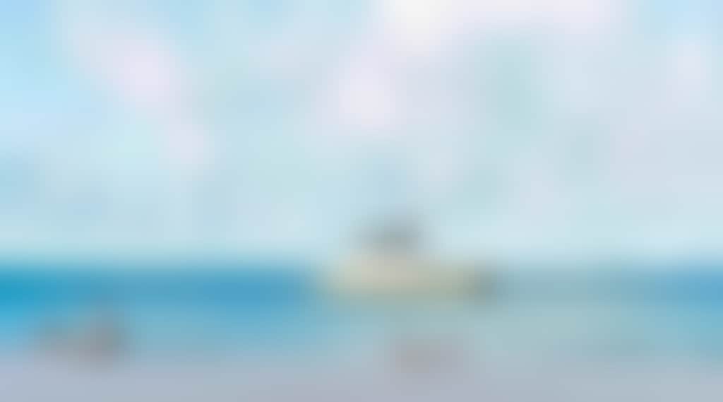 B296F6811F04C82Fa0029Bcd02Bd4B9F