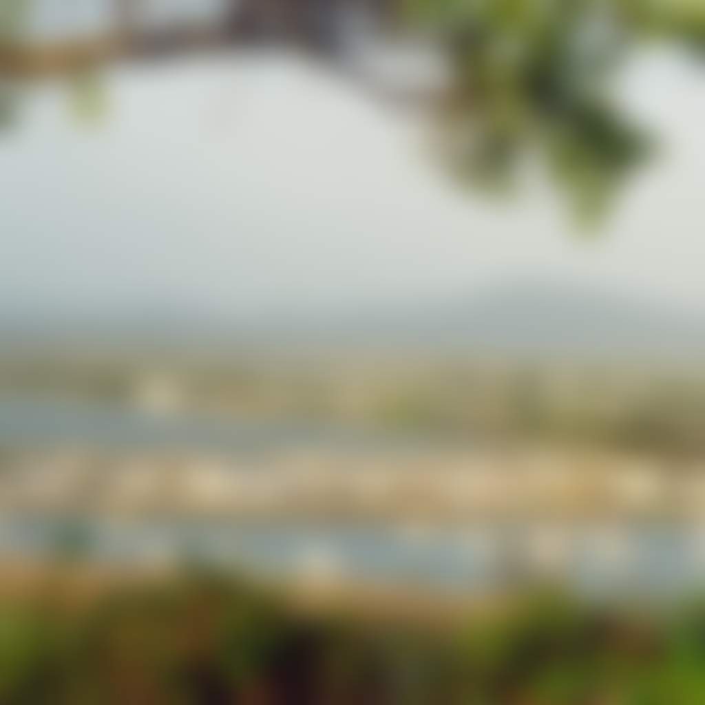 F87E54402024C63B4E80E33368746Df9