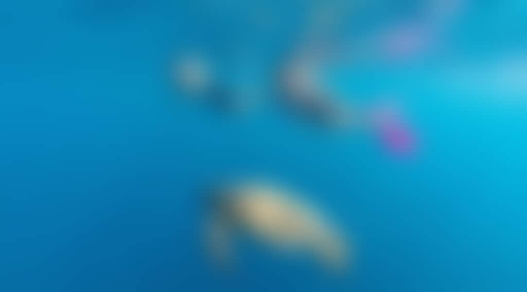 02F4A24F3Ec54038992E5A45912Dcf56