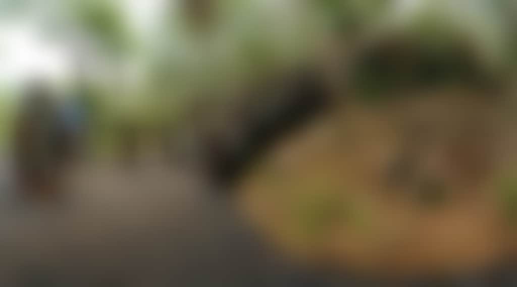 7A69Fd6B14Dd6439598C5Bab300683C4