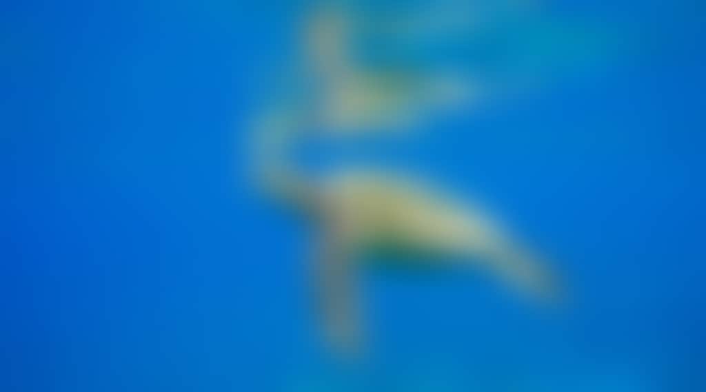 6E6C9A0Cb131Ee7577Ade0687C34Bbb4