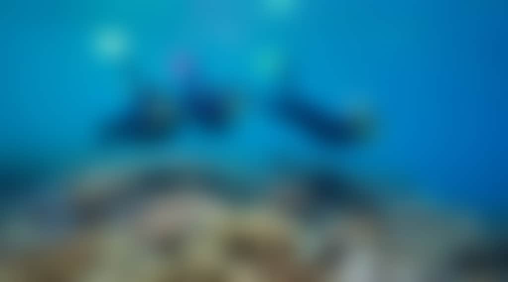 1Ab02E76366E1D4F4E466Dc17E34A4C2