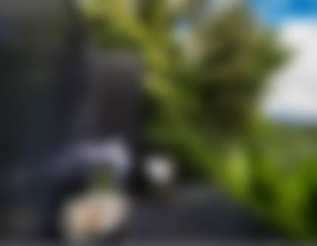 261824B9Fb4Aa95E36110F7220955B95