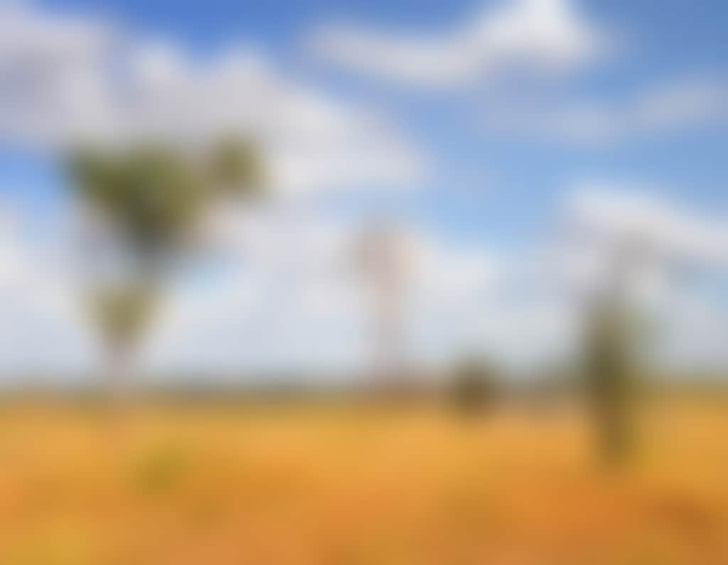 Strathmore Station, Collinsville