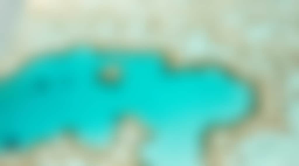 D8E45D72F5E18C4C93E2Fca9A21F3A6F