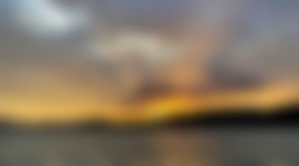 9125933B71F480C13365C101695F0831
