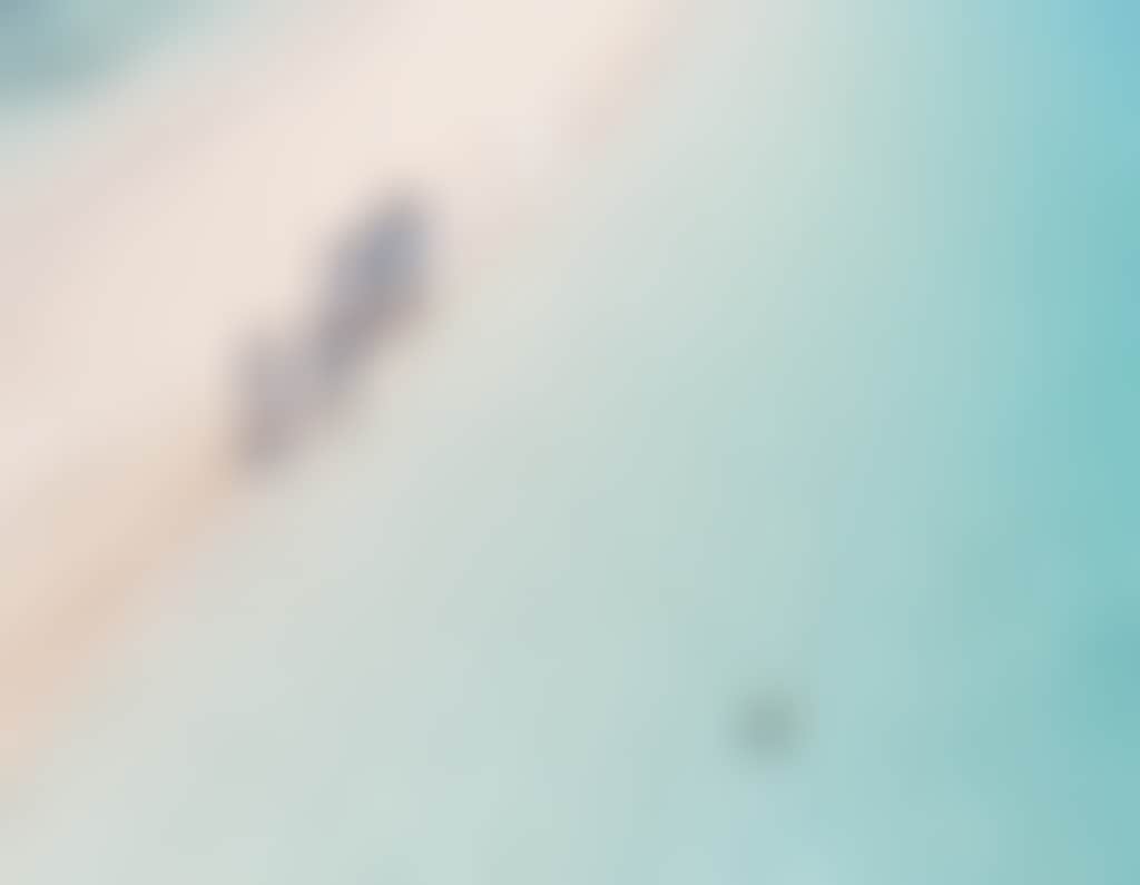 NECI Red Cat Adventures 12