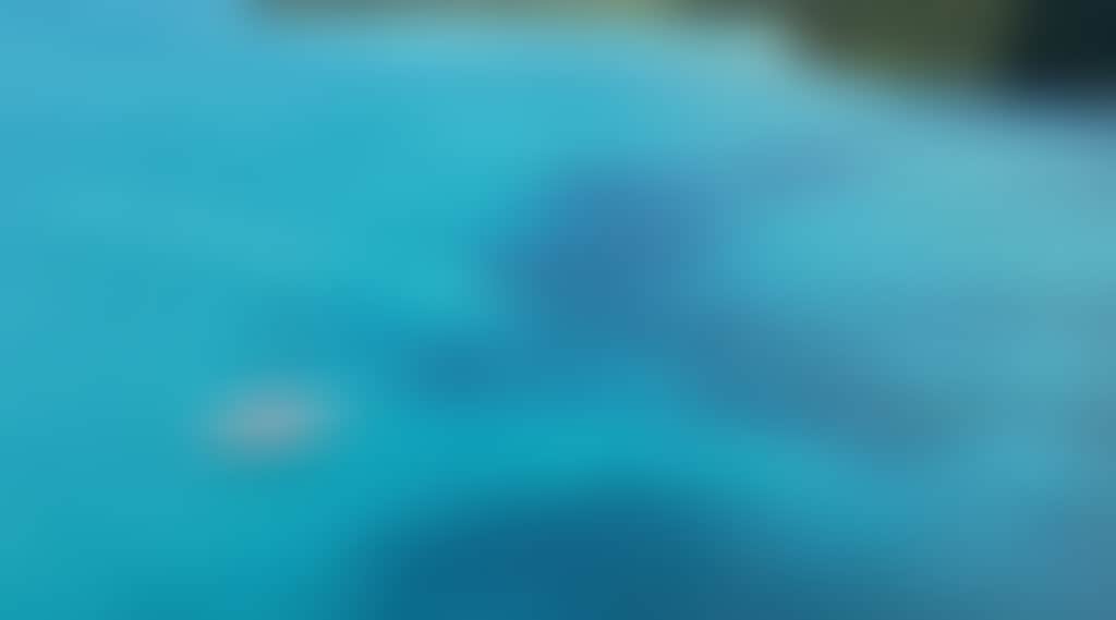 7C1Ec518B0047C30659B5D8652F932Cb