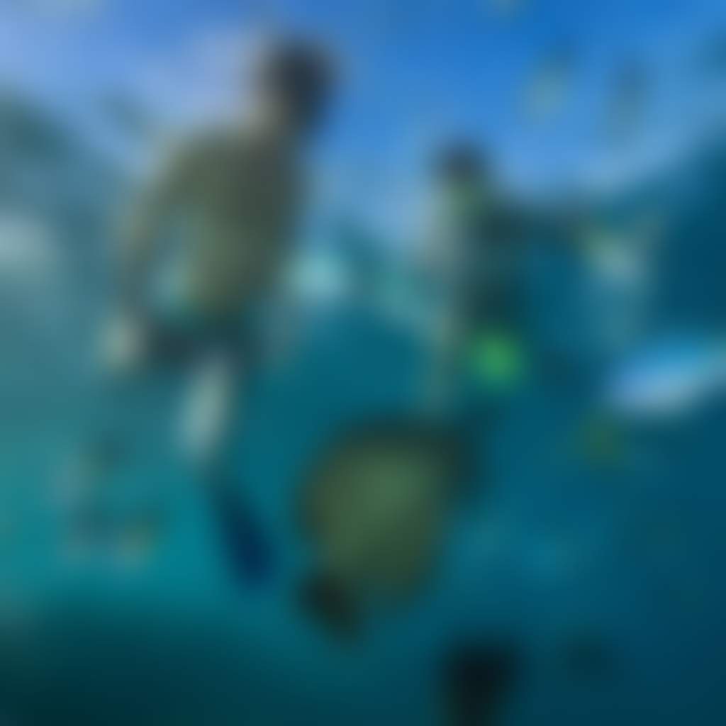 The Whitsunday Islands