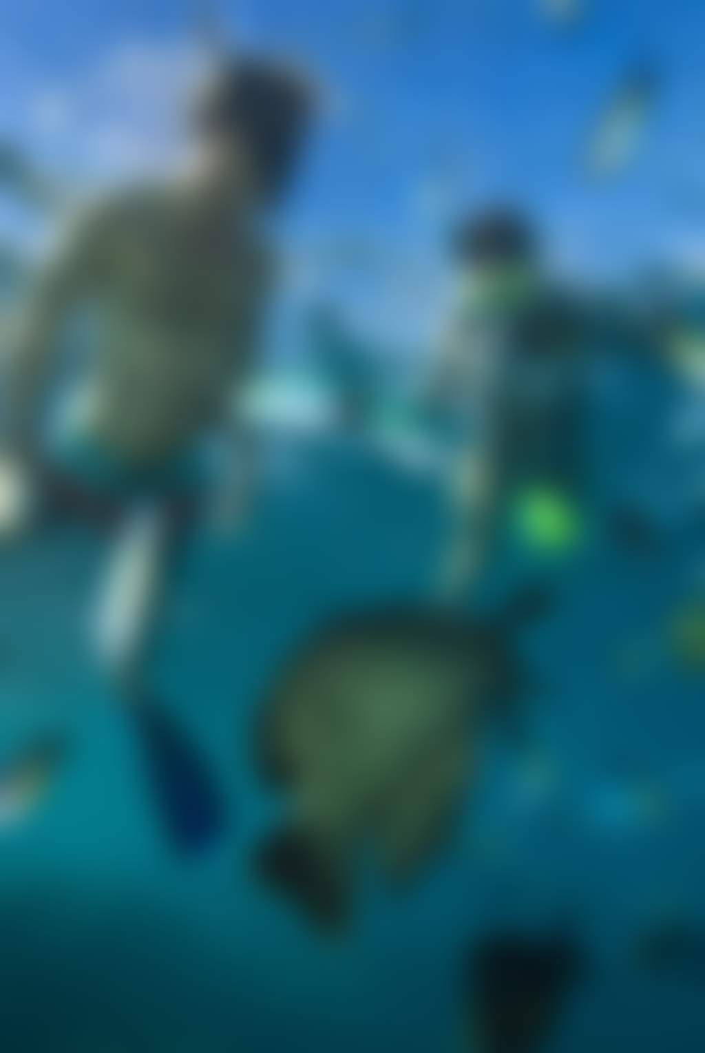 The Whitsunday Islands