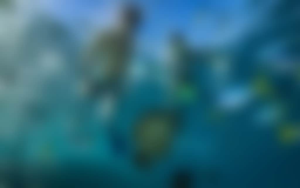 The Whitsunday Islands