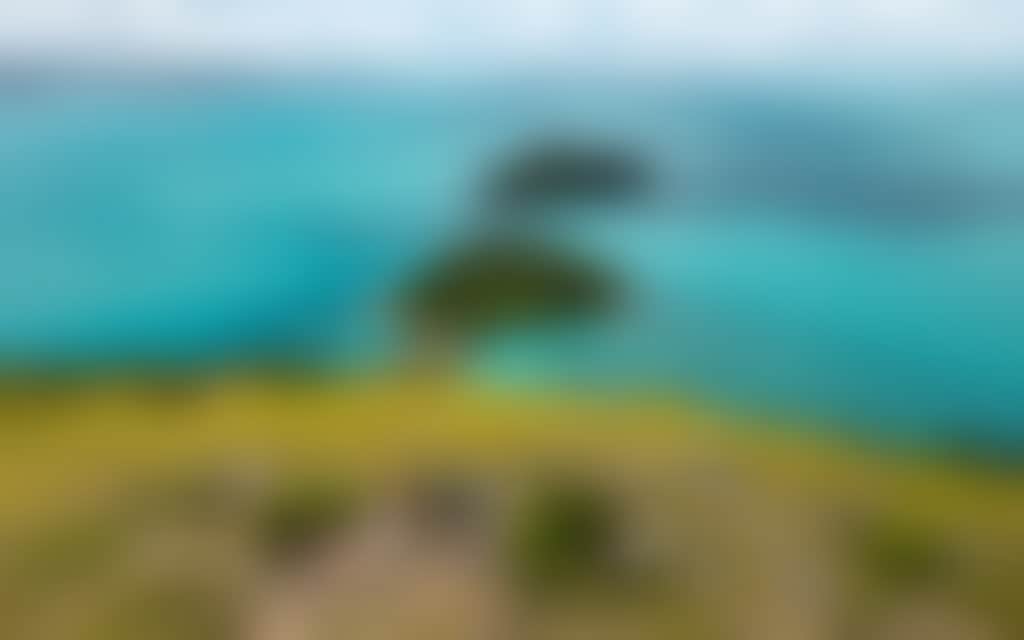 South Molle Islands