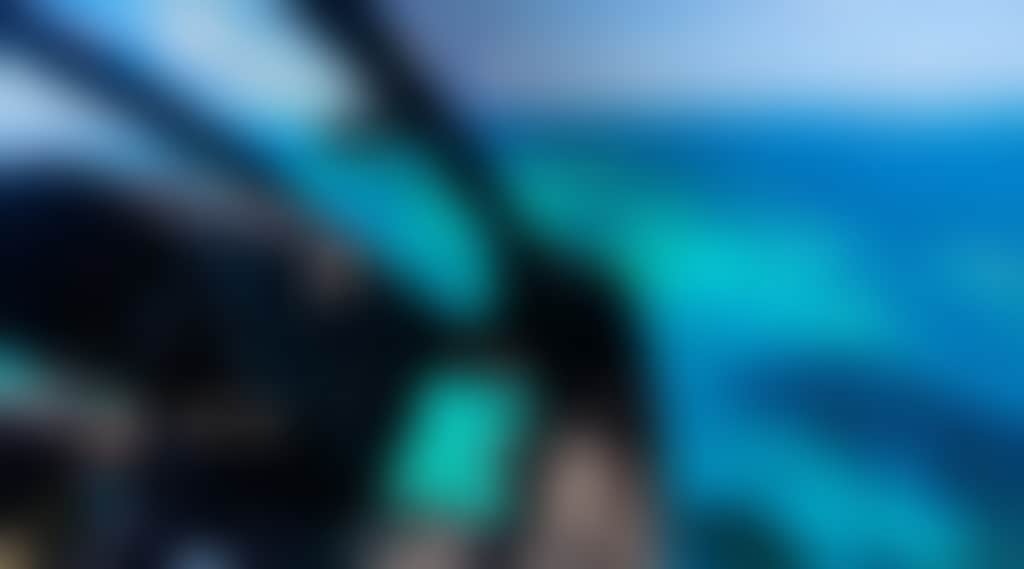 Cf040619E4A5A45Df96B8E11D3E6E941
