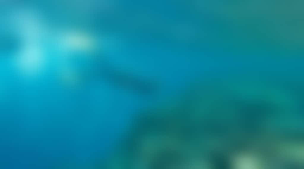 E328907346993F46Aebeb63Eeef529Fb