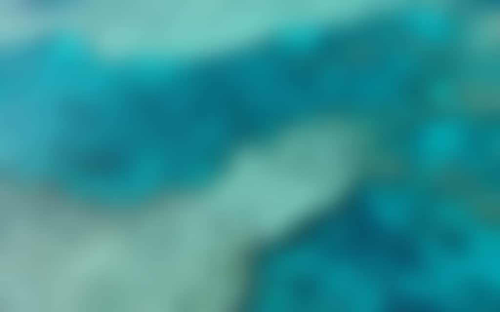 F5B8Ef2E8Aa6F0A65Ad226F1292Fb0B5