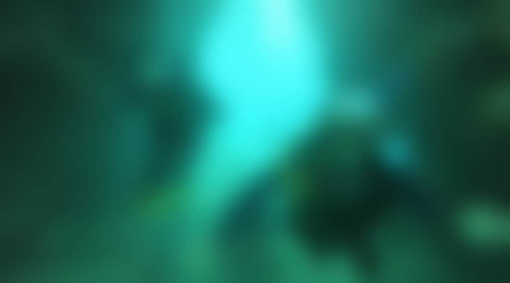 2D013251690C633D9F16195Efdf3Dbbd