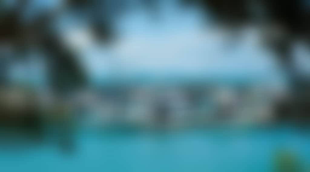 328Dc058C0080A94Aa1C2De3C00Aeb71