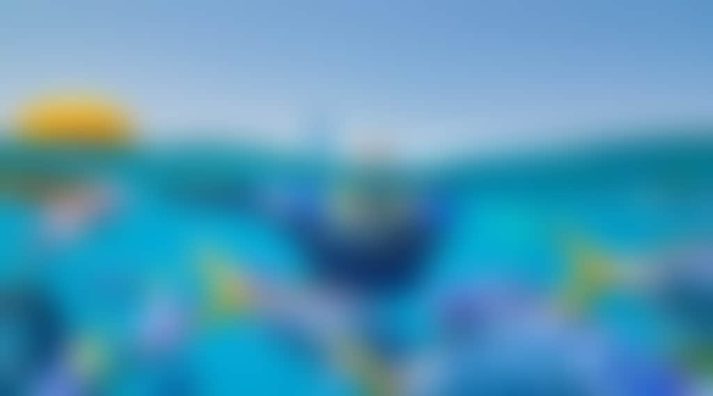 C323Fe048F39E997321B1B5E0C935F50