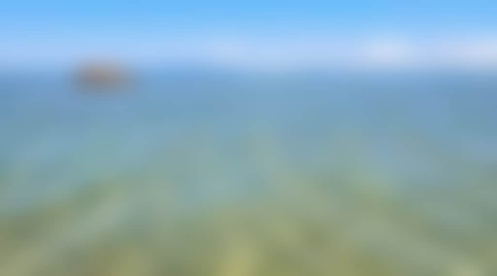 3019B4E1C6Bc113Ea3Ad8Ab0Aec2C716