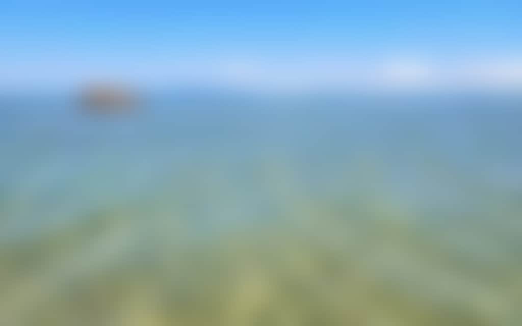 3019B4E1C6Bc113Ea3Ad8Ab0Aec2C716