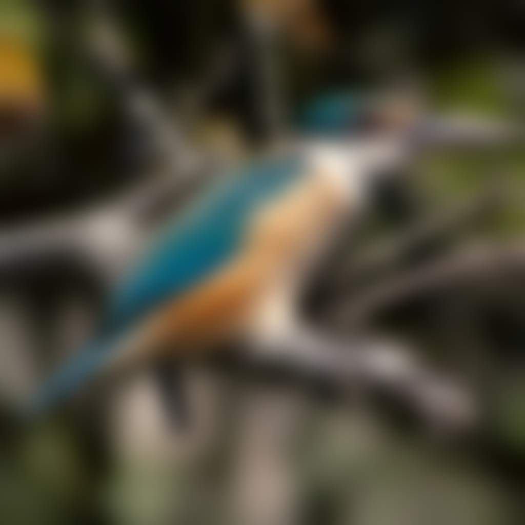 73C7E18De169Dfa4F58E5Bf7B0B32041
