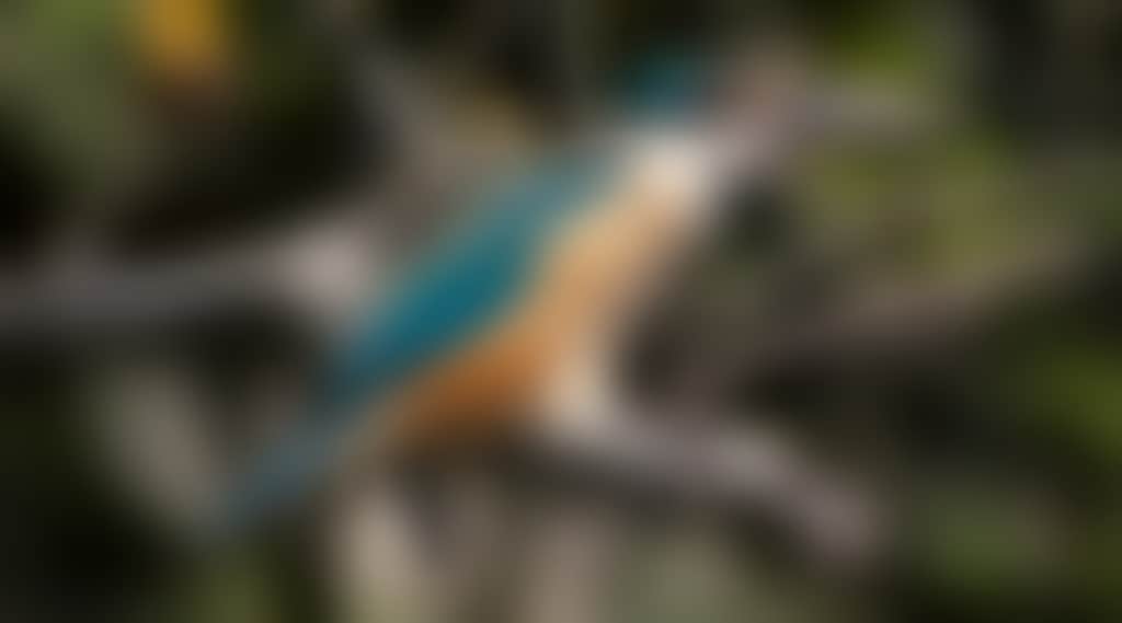 73C7E18De169Dfa4F58E5Bf7B0B32041