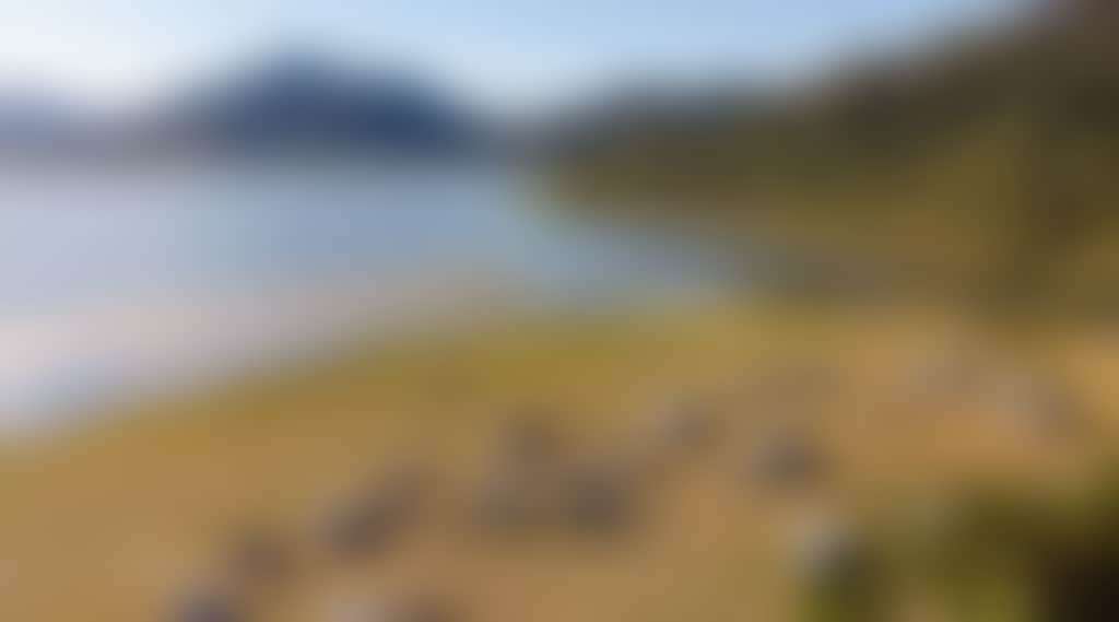 Dc8876Ce42C12E4F922678F01733F185