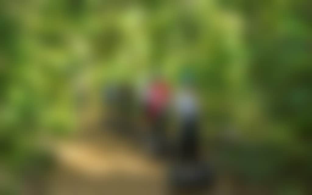 0D76B3760D2Cbc17F9Ae2Fc023F9E927